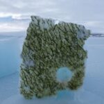 Es ditutupi dengan alga es