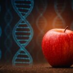 DNA Apple