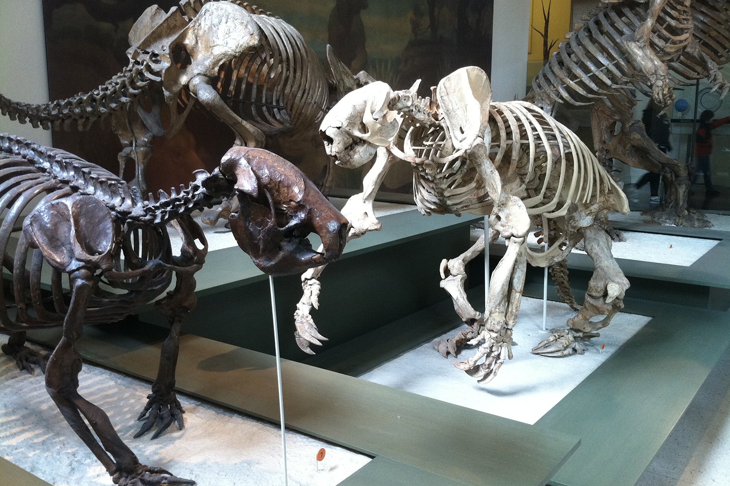 Giant Ground Sloths