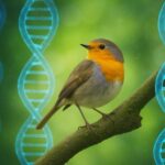 Genetika Evolusi DNA Burung