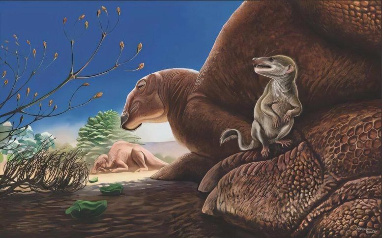 Rekonstruksi Hidup Formasi Baynshire