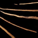 Schöningen Spears dipresentasikan di pameran Museum Penelitian “Paläon”
