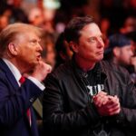 Donald Trump and Elon Musk at a UFC fight