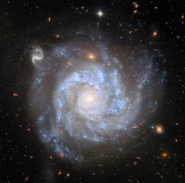 Spiral Galaxy NGC 1309