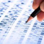 Ilmuwan menganalisis gel genetika DNA