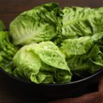 Semangkuk selada romaine hijau segar