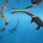 Plesionectes Longicollum Life Reconstruction