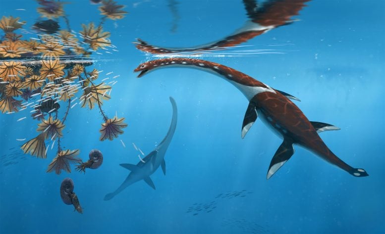 Plesionectes Longicollum Life Reconstruction