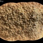 Objek Bulat Target St Pauls Bay