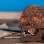 Arkeologi tengkorak manusia kuno