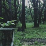 Demo 'PT' Hideo Kojima Membantu Anak-anak Jepang Belajar Bahasa Inggris