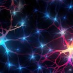 Koneksi Neuron Sel Otak Jaringan Syaraf yang Diterangi