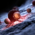 Sel Darah Putih Menyerang Sel Kanker