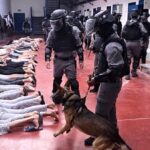 Bukan Hanya Disiksa, Aparat Israel Perkosa Tahanan Palestina Pakai Anjing