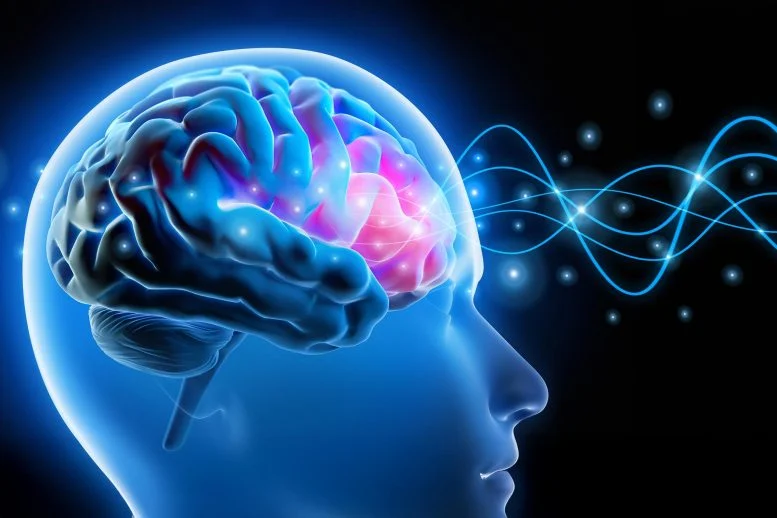 Perawatan Sinyal Saraf Gelombang Otak Kepala Manusia