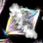 Spindel Metafase dalam Sel Kanker Ovarium Manusia