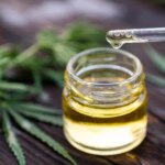 Minyak Rami CBD Ganja