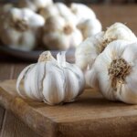 Umbi Bawang Putih Organik Segar