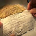 Pemeriksaan Sampel Lumut Forensik Kering