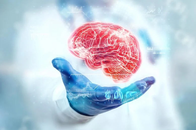 Dokter Memeriksa Hologram Otak Tutup