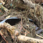 Harian Aceh Indonesia