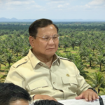 Pemerintah Prabowo Tobat Akan Kembalikan Lahan Sawit Jadi Hutan