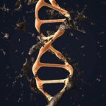 Perawatan Eksperimental Mengaktifkan Jalur Perbaikan DNA Tersembunyi Kerusakan Genetik Regenerasi DNA