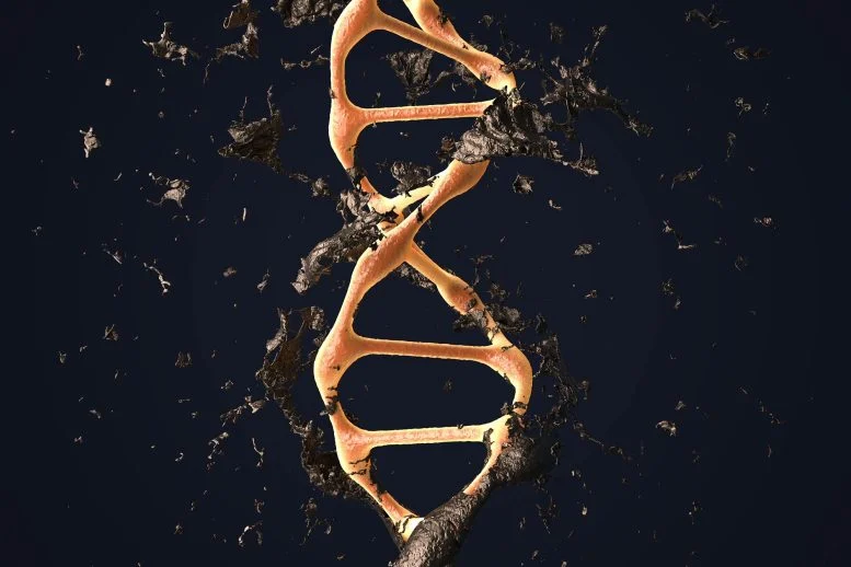 Kerusakan Genetik Regenerasi DNA