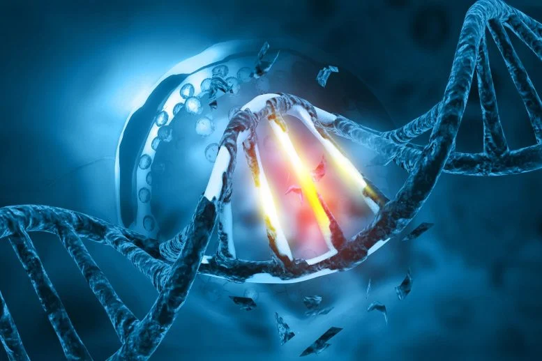 Kerusakan Genetik Mutasi DNA